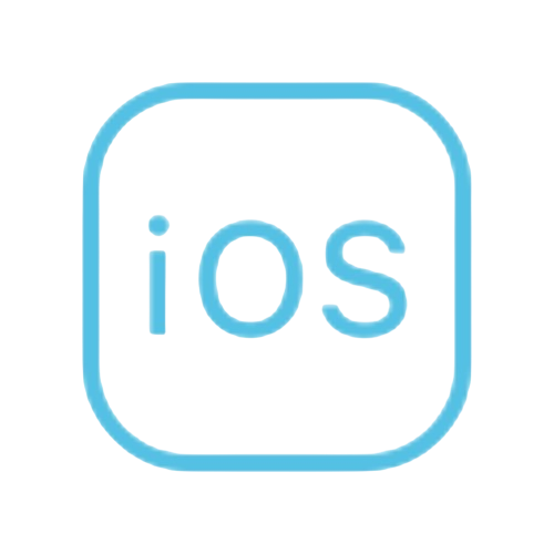 Pereproshyvka_iPhone_16_pro
